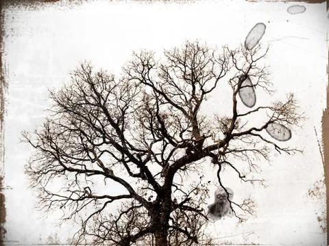 Tree ,plant, flower,icon Illustrazione stock