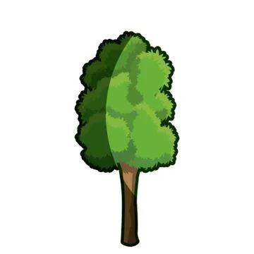 Tree plant leaf foliage shadow Stock Illustration