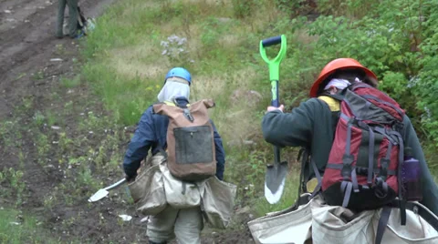 Tree Plant workers walking Vídeo Stock 32789625