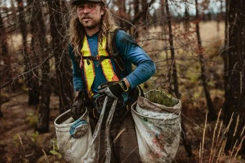 Tree planter in forest with pine seedlings Stock-Fotos