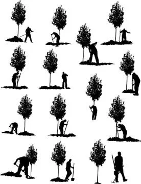 TREE PLANTING Stockillustratie