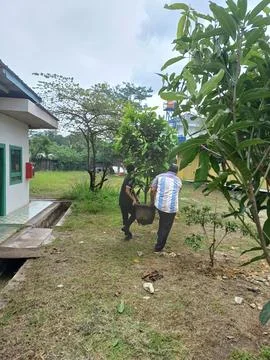 Tree planting Stock Photos