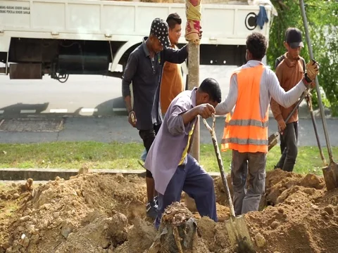 Tree planting project Stock Footage 103892728