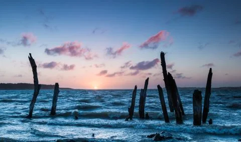 Tree posts sunset Stock Photos