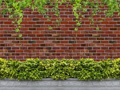 Tree in pot with brick wall background Stock Photos