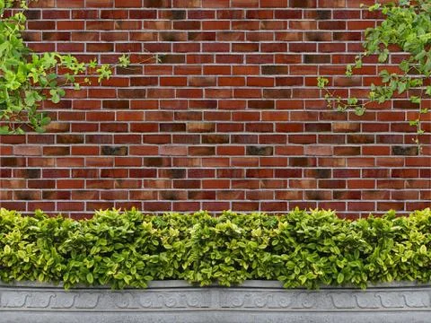 Tree in pot with brick wall background Stock Photos
