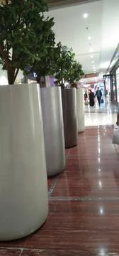 Tree pot Stock Photos