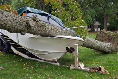 Tree on power boat Stock Photos