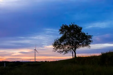 A tree on the prairie Stock Photos