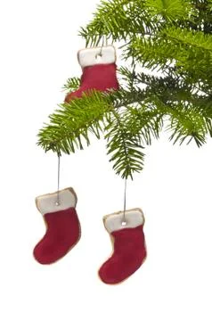 Tree present sock shape cookies as christmas tree decoration 스톡 사진