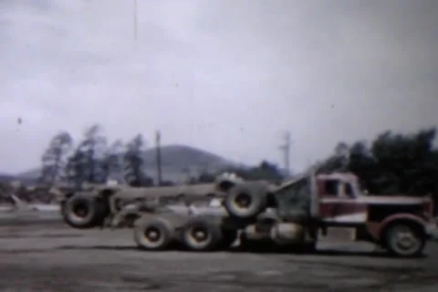 Tree Process Stock Footage 24672935