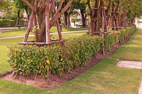 Tree prop to support big tree from wind Stock Photos