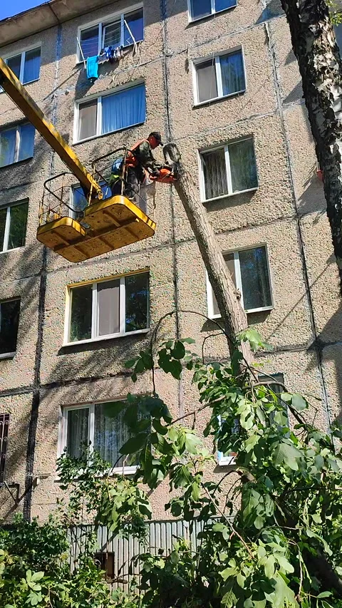 Tree pruning Municipal workers basket construction trimming branches Vertical Stock-Footage 298240597