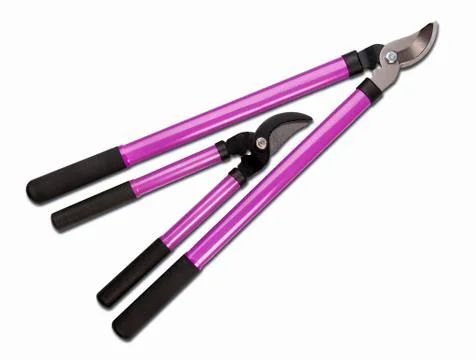 Tree Pruning Tools Stock Photos