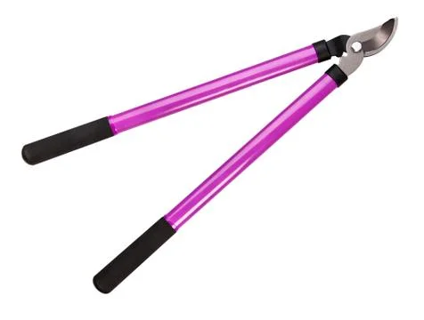 Tree Pruning Tools Stock Photos