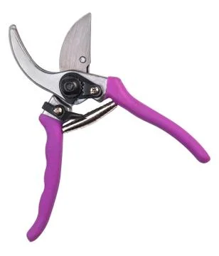 Tree Pruning Tools Stock Photos