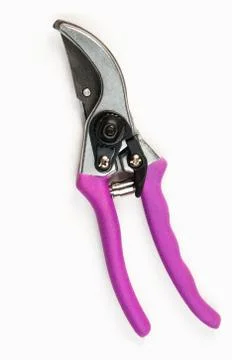 Tree Pruning Tools Stock Photos