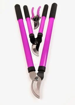 Tree Pruning Tools Stock Photos