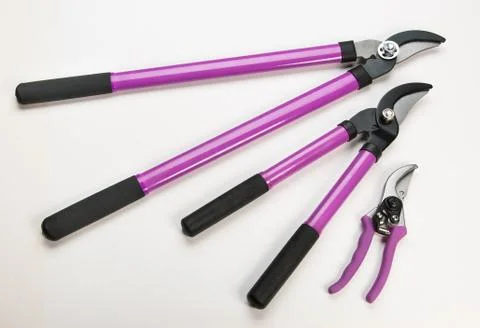 Tree Pruning Tools Stock Photos