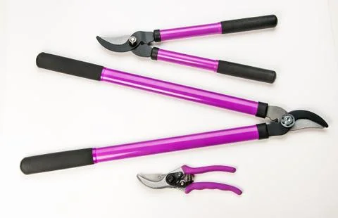 Tree Pruning Tools Stock Photos