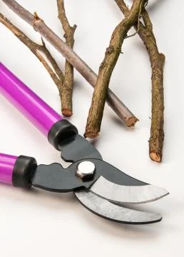 Tree Pruning Tools Foto stock