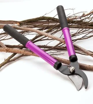 Tree Pruning Tools Stock Photos