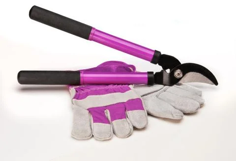 Tree Pruning Tools Stock Photos