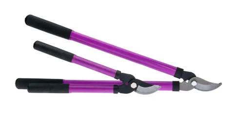 Tree Pruning Tools Stock Photos