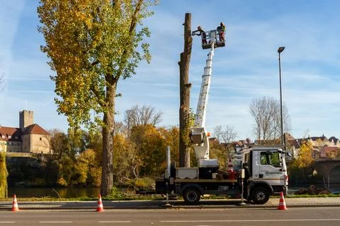 Tree pruning work in Lauffen am Neckar Germany on November 5 2025 Stock Photos