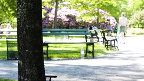 Tree Public Gardens, Halifax, Nova Scotia, Canada 動画素材 91755376