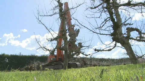 Tree pull Stock Footage 514539