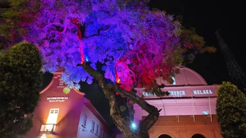 A tree with purple and blue lights on it at Christ Church Melaka Video stock 318095461