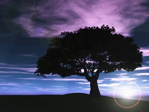 Tree with a purple sky at dusk Video stock 94047929