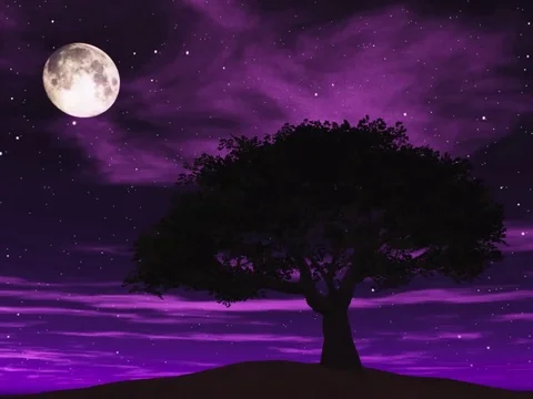 Tree with a purple sky at night Stock Footage 94047927