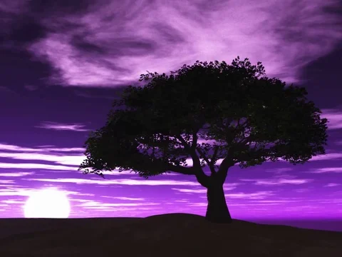 Tree with a  purple sky with sun low Video stock 94047931