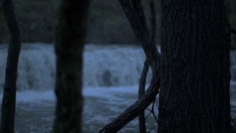 Tree rack focus to waterfall 4k Video stock 158240632