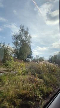 Tree rail sky trees landscape trees green nature summer background street o.. Stock Photos