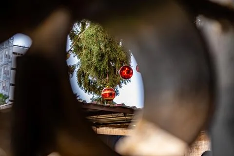 A tree with red balls hanging from it Stock Photos