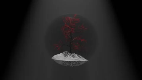The tree with red leaves rotates with the snowdrift on which it stands. The Stock Footage 154112334