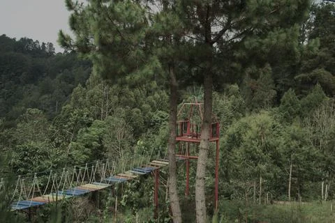 A tree with a red platform on top of it Stock Photos
