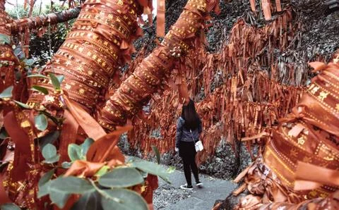 Tree with red ribbons Stock Photos