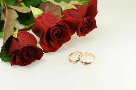 Tree red roses with two wedding rings Stock Photos