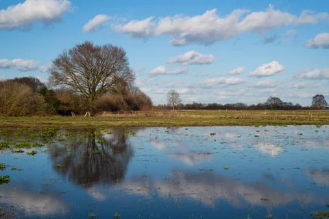 A tree  is reflected in the water while clouds pass by the blue sky Stock Photos