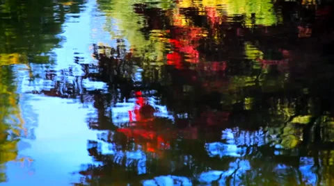 Tree reflected in water_01 Stock Footage 33739902