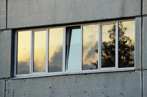 Tree reflected in windows of the school and the sky in the light Stock Photos