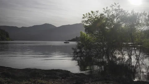 Tree reflecting in calm wavy lake water at sunrise Stock Footage 234903923