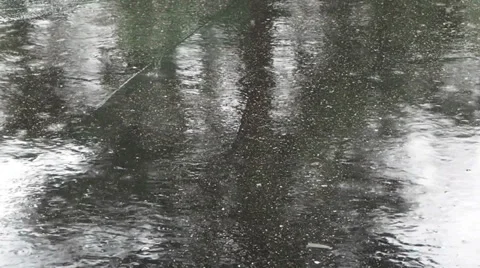 Tree reflection on asphalt Stock Footage 37121858