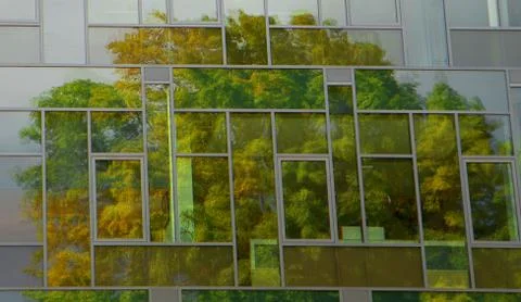 Tree reflection in building window Stock Photos