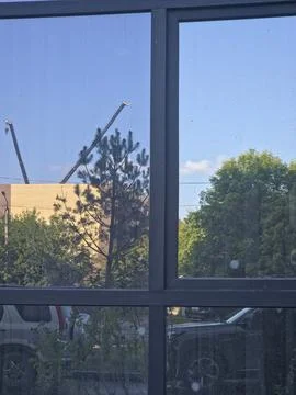 Tree reflection in dark tinted window glass Stock Photos