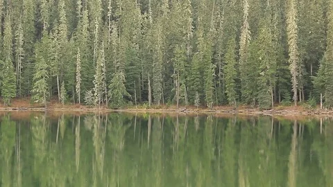 Tree reflection in glacial lake Stock Footage 72189473